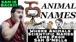 Where Animals' Scientific Names Come From (Sam O'Nella Academy) reaction