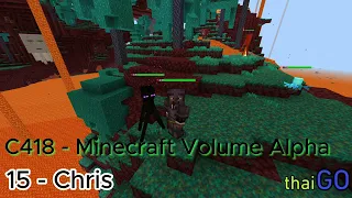 Minecraft Volume Alpha C418 15-Chris