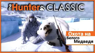 Охота на Белого медведя в theHunter: Classic