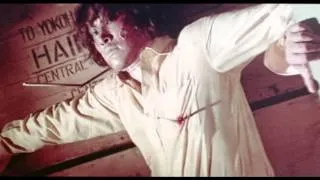 Sister Street Fighter Trailer (1974)