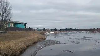 Утренний перелет гусей. Ремонт лодки по старинке. Взял путевку на весеннюю охоту. Лада гранта сила.