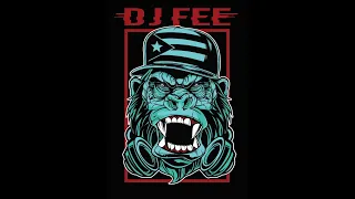 DJ FEE REGGAETON   SD 480p