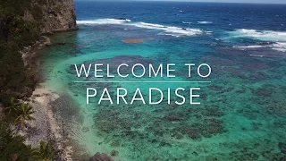 Welcome to Paradise! (Drone video of Dominican Republic 2018)