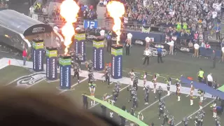 The Seahawks unveil their championship banner