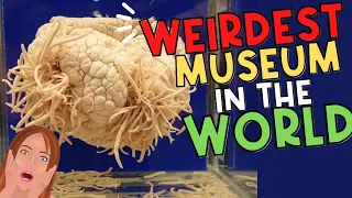 10 WEIRDEST MUSEUMS in the World | MUST WATCH!!!!
