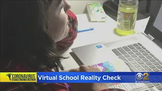 Virtual School Reality Check