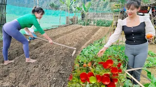 TIMELAPSE: Top 10 Great Videos Life on the farm, Single mothers building a life - Farm life