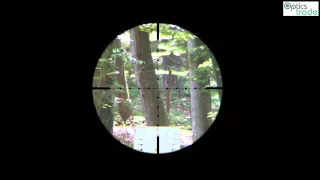 Sightron SIII 6-24x50 LR reticle Mil Dot subtensions