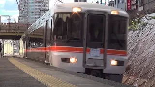 ♯39【JR東海】373系愛知☆静岡DCトレイン 警笛あり