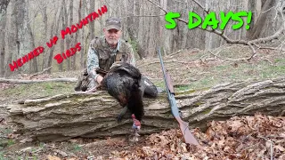 Virginia Spring Turkey Season. (5 days of hunting henned up gobblers!)