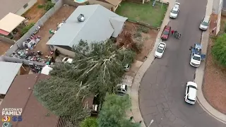 RAW VIDEO: Uprooted tree damages 10 cars in west Phoenix