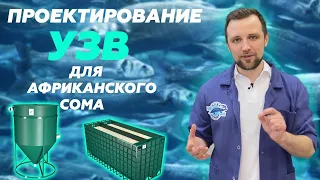 Топ ФИШЕК по ВЫРАЩИВАНИЮ АФРИКАНСКОГО СОМА в УЗВ | Какой бизнес ОТКРЫТЬ?