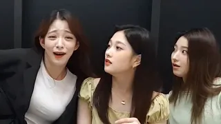 fromis_9 (프로미스나인) funny moments #9 (VLIVE)