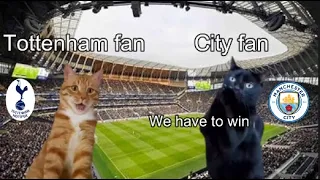 CAT MEMES  Tottenham Hotspur vs Manchester City