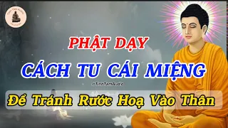 Phật Dạy "Tu Cái Miệng Là Tu Hơn Nửa Đời Người ", Khẩu Nghiệp Làm Giảm Phước Báu