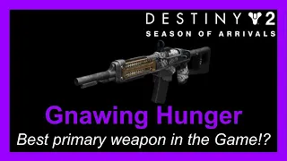 Destiny 2 [S11] Gnawing Hunger; PVE and PVP God rolls!