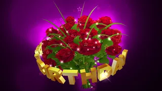 Футаж с шикарным букетом красных роз HAPPY BIRTHDAY с эффектом звёзд  на тёмном маджента фоне