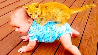 Cats, Dogs And Babies Are Best Friend - Cute Baby Videos