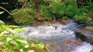 River Sound for Therapy, Relaxing Water Sounds For Stress Relief, Nature Sounds for Focus