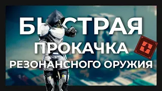 Прокачка пушки за 5 минут! Destiny 2