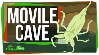 Weird Places: Movile Cave