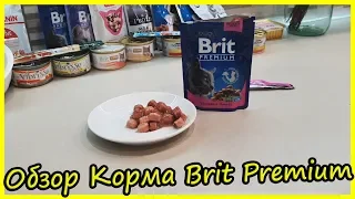 Обзор Влажных Кормов для Котов Brit Premium 2020. Блог Кота Альфа. Корм Супер Премиум для Котов