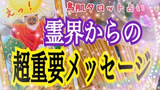 【鳥肌もの🕊】霊界からあなたへ超重要メッセージ😳❗️個人鑑定級タロット占い🔮⚡️