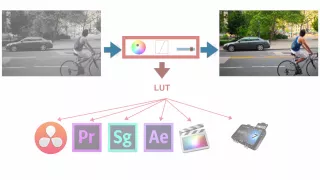 LUTs Explained