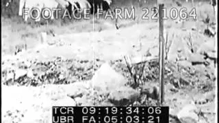 The Battle of Hue Pt 2  221064-03 | Footage Farm