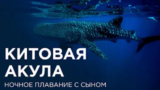 Китовая акула. Whale Shark. Trip expert Михаил Карпович ( Mikhail Karpovich )