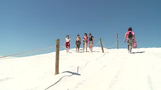 Gard : les visites reprennent aux salins d'Aigues-Mortes