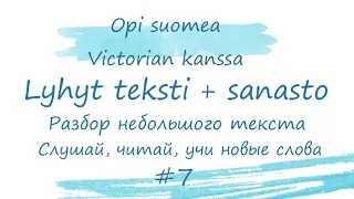 Разбор небольшого текста. Финский язык. Слушай, читай, учи новые слова. Уроки финского языка.