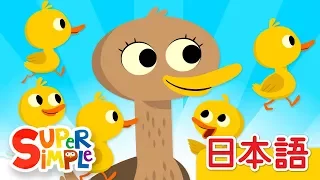 ５わのアヒル「Five Little Ducks」 | こどものうた | Super Simple 日本語