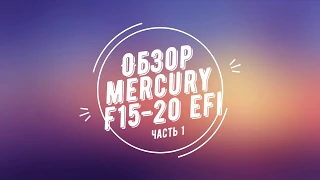 Моторы Меркури F15/20 MH EFI (видеообзор, часть 1)