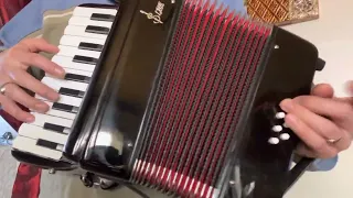 Cielito Lindo Mini-Acordeón de 8 Bajos. 8 Bass Accordion