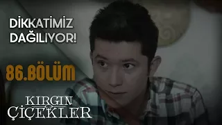 Kırgın Çiçekler ve Güney, LYS’ye hazırlanıyor! - Kırgın Çiçekler 86.Bölüm