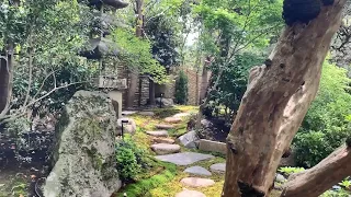 A walk through a beautiful Japanese garden, Kyoto, Japan