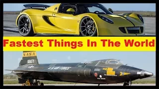 Top 10 Fastest Things In The World 'Top Ten Fastest Things'