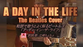 A Day In The Life / The Beatles Cover (Japanese lyrics)