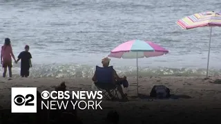 All 14 miles of New York City public beaches now open to the public