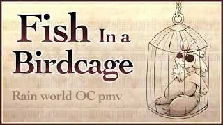 FISH IN A BIRDCAGE // rain world OC pmv