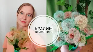 Как сделать разноцветные одуванчики. Как покрасить одуванчики