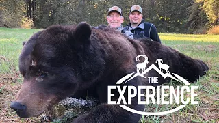 The Glacier Guides Experience - Hunting Giant Brown Bears in Southeast Alaska