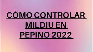 COMO CONTROLAR MILDIU #pepino 2021