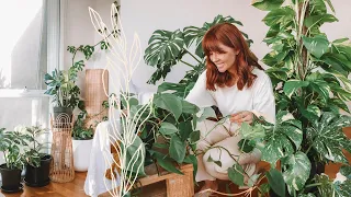 make your house plants thrive 🌿indoor plants care tips & hacks