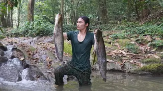 a lucky day, catch all the giant fish, survival alone