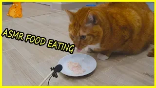 ASMR FOOD EATING CAT 2020. Обзор и Дегустация Влажного Корма для Котов Brit Care.