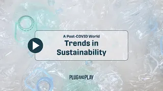 A Post-COVID World: The Future Of Sustainability In A Post Pandemic World