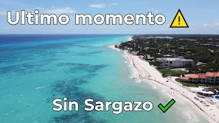 Playa Del Carmen ASI ESTA AHORA MISMO⚠️15 DE SEPTIEMBRE 2021