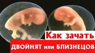 Как зачать ДВОЙНЯТ или БЛИЗНЕЦОВ (полное видео)👨‍👩‍👦‍👦